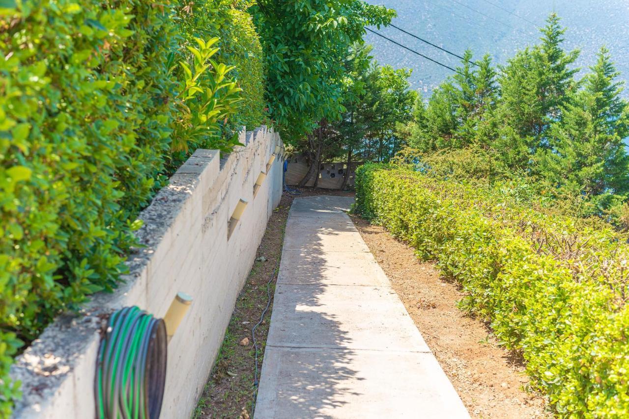 Skroponeria View Apartments エクステリア 写真
