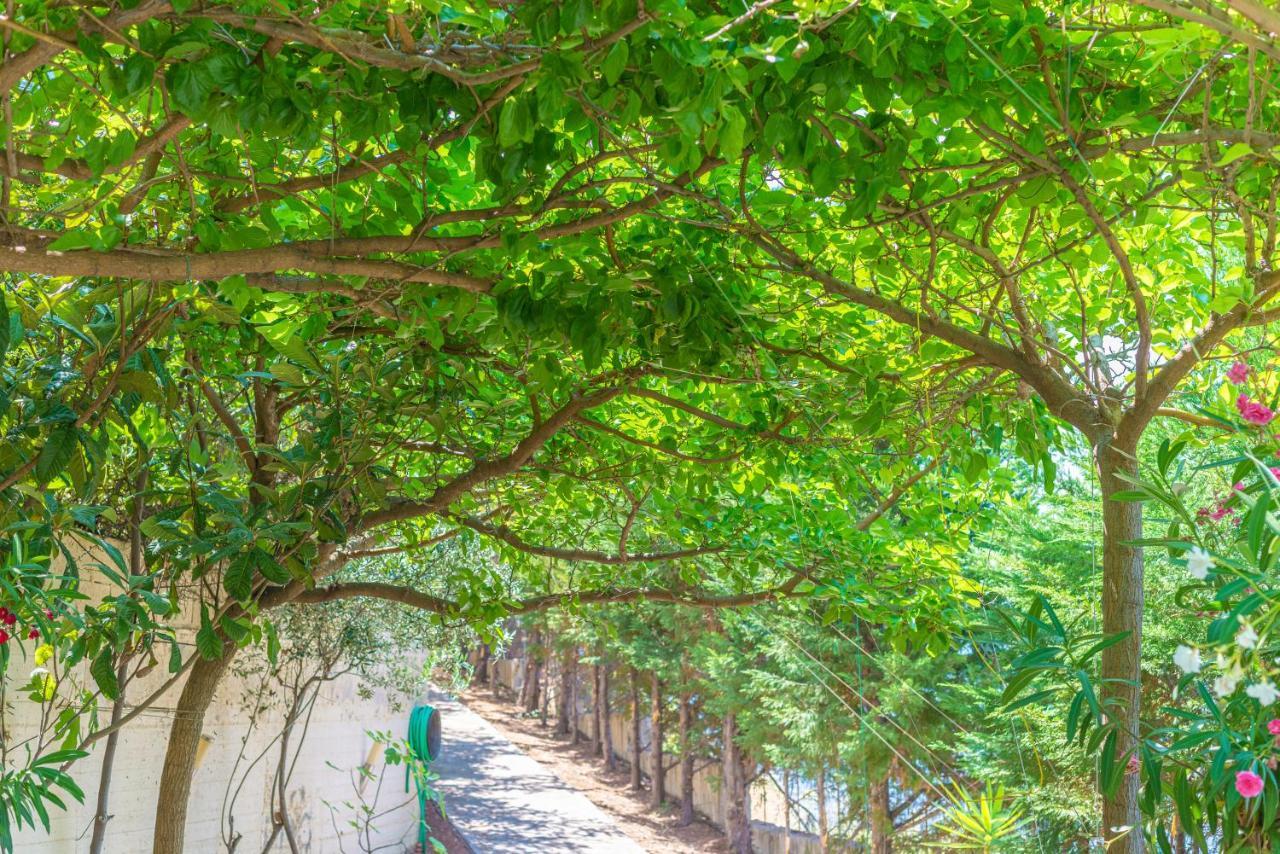 Skroponeria View Apartments エクステリア 写真